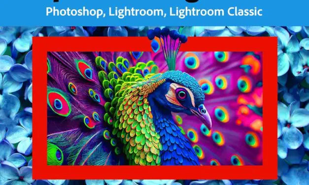 Adobe Creative Cloud Photography Plan 1TB: l’abbonamento definitivo per fotografi professionisti