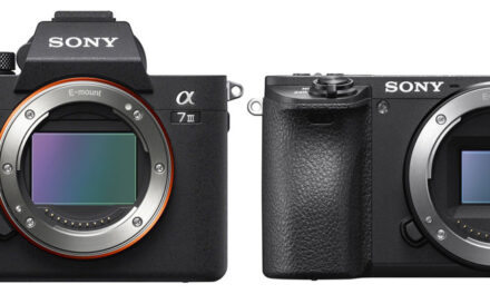 Full Frame vs APS-C: Scegliere il Sensore Giusto per le Tue Esigenze Fotografiche