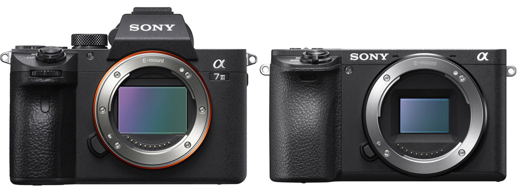 Full Frame vs APS-C: Scegliere il Sensore Giusto per le Tue Esigenze Fotografiche